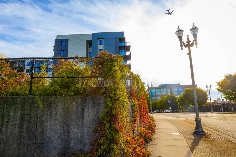 Mixed-Use DSCR — investment property